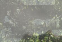 Shallal Workshop at Trengwainton