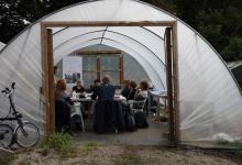 Workshop in the polytunnel, Trengwainton