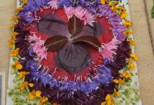 Workshop run by Jane Bailey