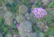 Home of Springs, Trengwainton Film Tour in 2019