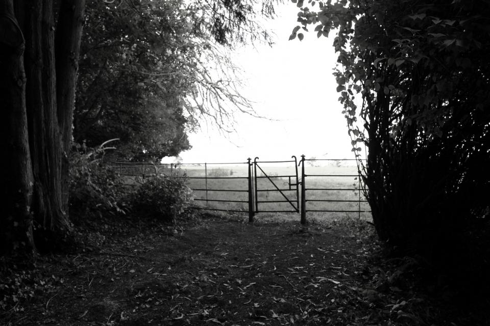 Old gate at the top of the drive looking into top field