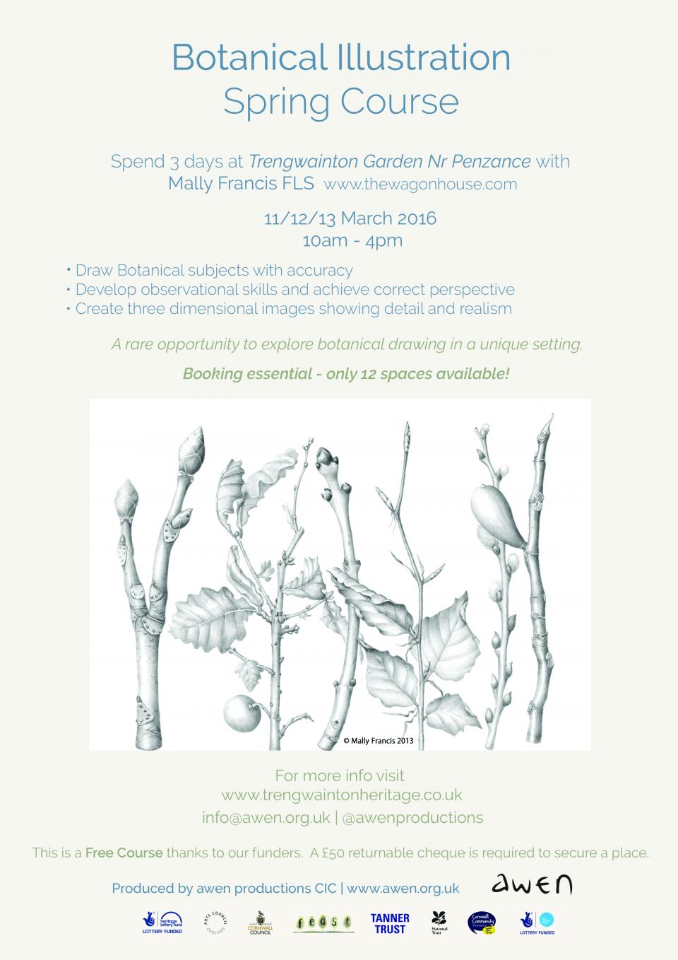 Botanical illustration Spring course