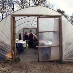 The polytunnel, Trengwainton botanical illustration Spring course