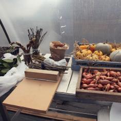 Things to draw, Trengwainton botanical illustration Spring course