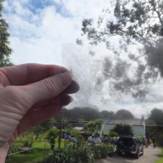 Late 1800's gardeners, overlaid on 2015 garden. Photo © Jane Bailey