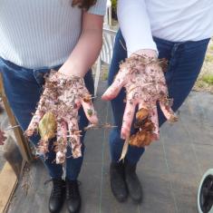 Mount's Bay Arts Awards students at Trengwainton. Photo © Jane Bailey