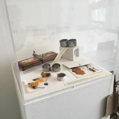 Home of Springs, Trengwainton exhibition 