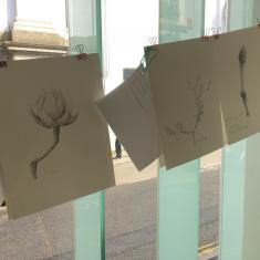 Home of Springs, Trengwainton exhibition 