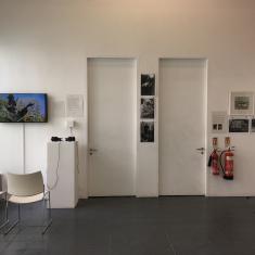 Home of Springs, Trengwainton exhibition 