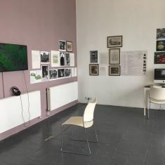 Trengwainton exhibition 