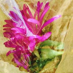 St. Maddern's School workshop, Trengwainton. © Dominica Williamson