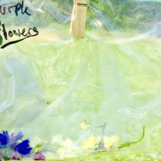 St. Maddern's School workshop, Trengwainton. © Dominica Williamson