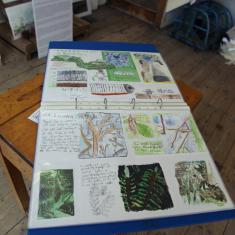 Trythall School Exhibition