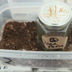 Dom Williamson workshop. Photo © Barbara Santi