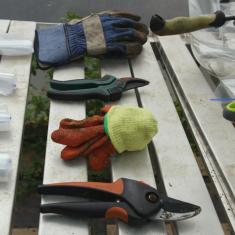 Dom Williamson workshop. Photo © Barbara Santi