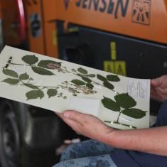 Keith Spurgin's Walk and Talk