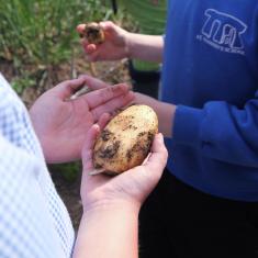 St. Maddern's School workshop, Trengwainton. © Barbara Santi