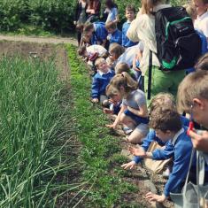 St. Maddern's School workshop, Trengwainton. © Barbara Santi