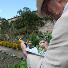 Keith Spurgin collecting specimens, Trengwainton Garden