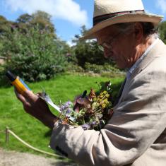 Keith Spurgin collecting specimens. Trengwainton Garden