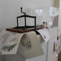 Home of Springs, Trengwainton exhibition 