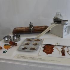 Home of Springs, Trengwainton exhibition 