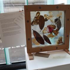 Home of Springs, Trengwainton exhibition 