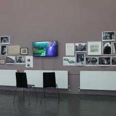 Home of Springs, Trengwainton exhibition 