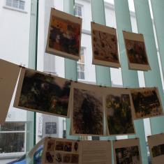 Home of Springs, Trengwainton exhibition 