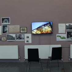 Home of Springs, Trengwainton exhibition 