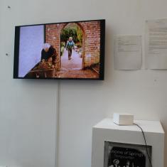 Home of Springs, Trengwainton exhibition 