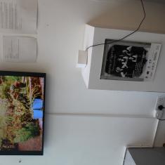 Home of Springs, Trengwainton exhibition 