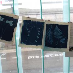 Home of Springs, Trengwainton exhibition 