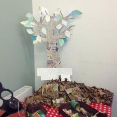 Mounts Bay Trengwainton tree of history