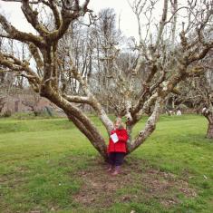 Trythall School, Infants workshop, Trengwainton Garden