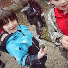 Furry bud cover protecting Magnolia flowers, Trythall infants School workshops, Trengwainton Garden