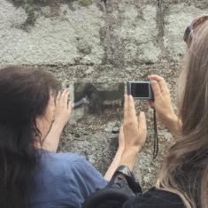 Shallal Workshop at Trengwainton. © Zoe Wilton