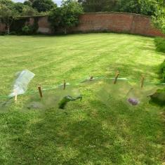 Hearing Voices Network - A Walking Workshop, Trengwainton. © Dominica Williamson