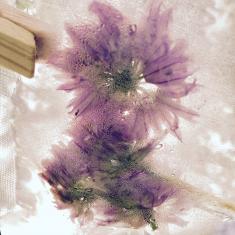 Hearing Voices Network - A Walking Workshop, Trengwainton. © Dominica Williamson