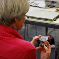 Looking at micro propagated samples 2