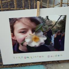 Trythall School Exhibition