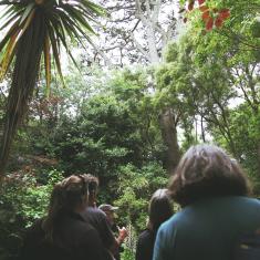 Walk and Talk, Trengwainton. 