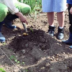 St. Maddern's School workshop, Trengwainton. © Barbara Santi