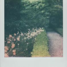 Walled garden, Trengwainton