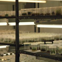 Specimens in the fridge. Photo © Barbara Santi