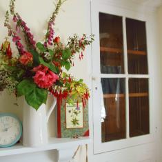 Summer flowers at Trengwainton's 'Gardener's Cottage', now the bookshop.